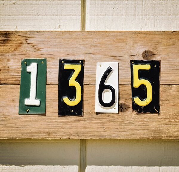 ip address lookup guide